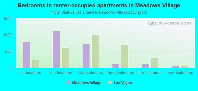 Bedrooms in renter-occupied apartments in Meadows Village