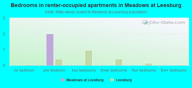 Bedrooms in renter-occupied apartments in Meadows at Leesburg