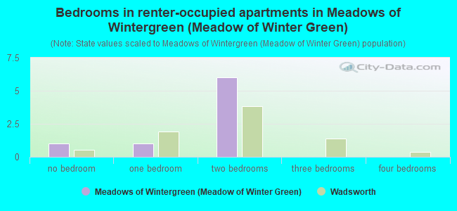 Bedrooms in renter-occupied apartments in Meadows of Wintergreen (Meadow of Winter Green)