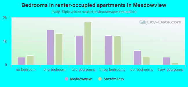 Bedrooms in renter-occupied apartments in Meadowview