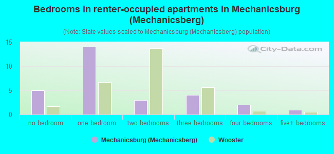 Bedrooms in renter-occupied apartments in Mechanicsburg (Mechanicsberg)