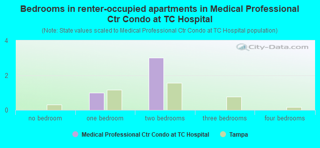 Bedrooms in renter-occupied apartments in Medical Professional Ctr Condo at TC Hospital