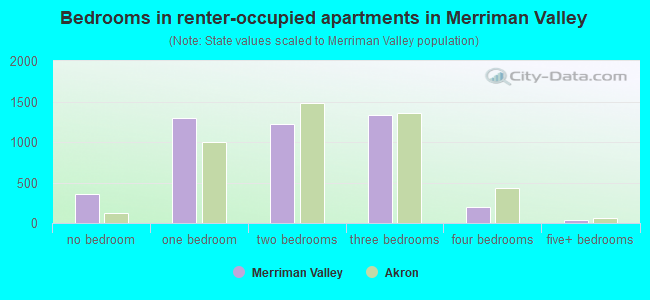 Bedrooms in renter-occupied apartments in Merriman Valley