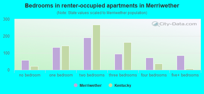 Bedrooms in renter-occupied apartments in Merriwether