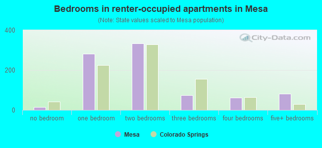 Bedrooms in renter-occupied apartments in Mesa