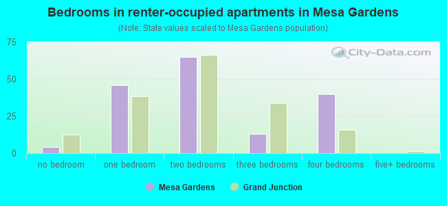 Bedrooms in renter-occupied apartments in Mesa Gardens