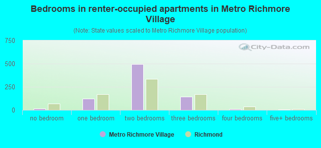 Bedrooms in renter-occupied apartments in Metro Richmore Village