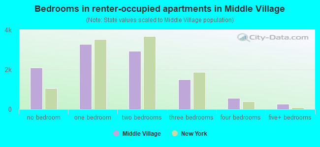 Bedrooms in renter-occupied apartments in Middle Village