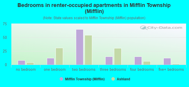 Bedrooms in renter-occupied apartments in Mifflin Township (Mifflin)