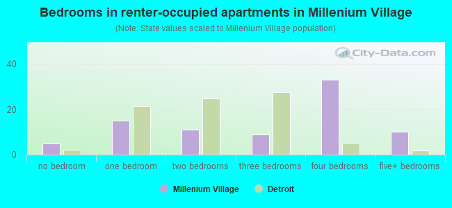 Bedrooms in renter-occupied apartments in Millenium Village