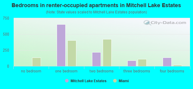 Bedrooms in renter-occupied apartments in Mitchell Lake Estates