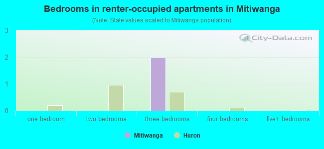 Bedrooms in renter-occupied apartments in Mitiwanga