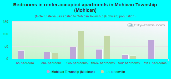 Bedrooms in renter-occupied apartments in Mohican Township (Mohican)