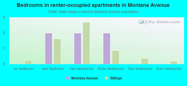 Bedrooms in renter-occupied apartments in Montana Avenue