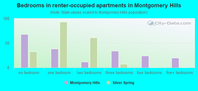 Bedrooms in renter-occupied apartments in Montgomery Hills