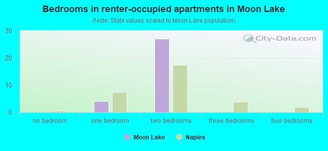 Bedrooms in renter-occupied apartments in Moon Lake