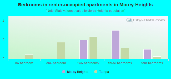 Bedrooms in renter-occupied apartments in Morey Heights