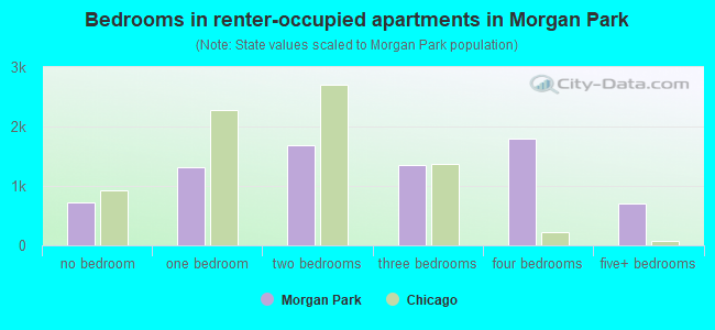 Bedrooms in renter-occupied apartments in Morgan Park