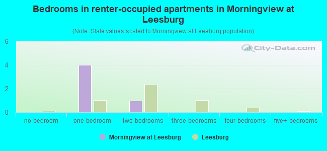 Bedrooms in renter-occupied apartments in Morningview at Leesburg