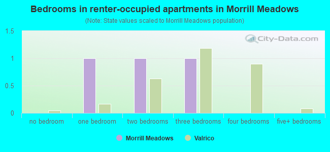 Bedrooms in renter-occupied apartments in Morrill Meadows