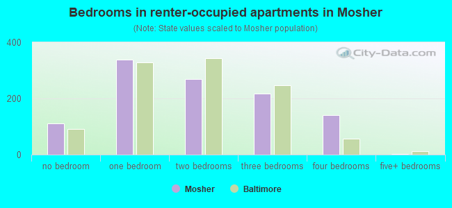 Bedrooms in renter-occupied apartments in Mosher