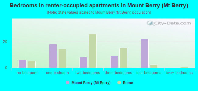 Bedrooms in renter-occupied apartments in Mount Berry (Mt Berry)