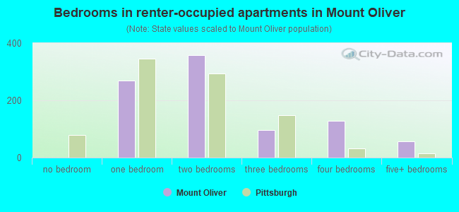 Bedrooms in renter-occupied apartments in Mount Oliver