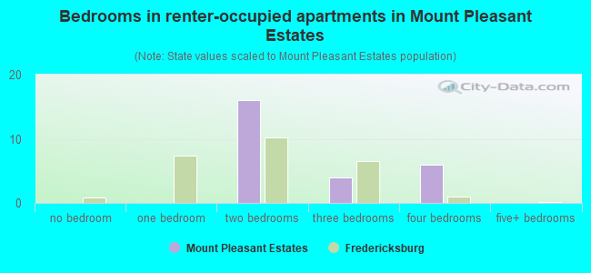 Bedrooms in renter-occupied apartments in Mount Pleasant Estates