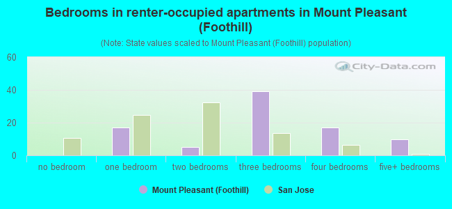 Bedrooms in renter-occupied apartments in Mount Pleasant (Foothill)