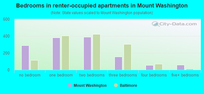 Bedrooms in renter-occupied apartments in Mount Washington