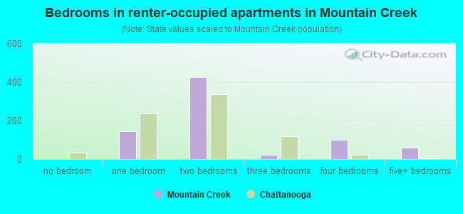 Bedrooms in renter-occupied apartments in Mountain Creek