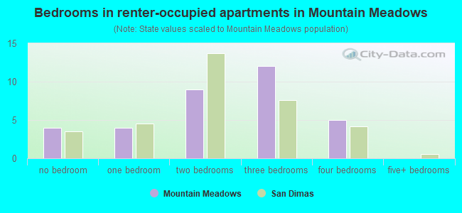 Bedrooms in renter-occupied apartments in Mountain Meadows