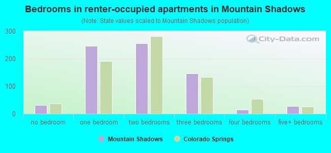 Bedrooms in renter-occupied apartments in Mountain Shadows