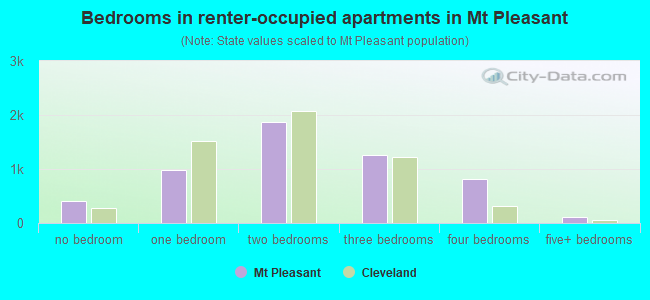Bedrooms in renter-occupied apartments in Mt Pleasant