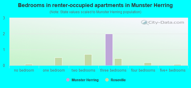 Bedrooms in renter-occupied apartments in Munster  Herring