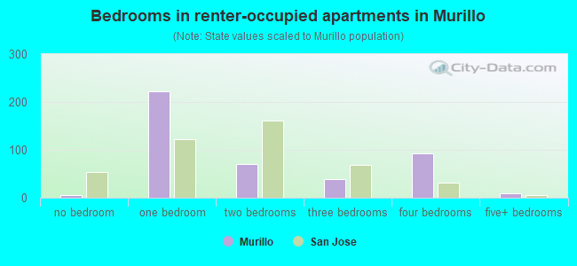 Bedrooms in renter-occupied apartments in Murillo