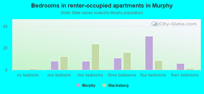 Bedrooms in renter-occupied apartments in Murphy