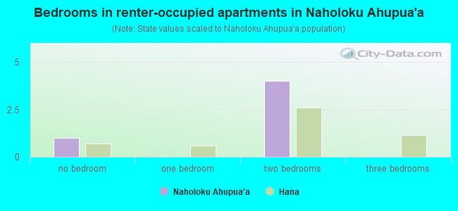 Bedrooms in renter-occupied apartments in Naholoku Ahupua`a