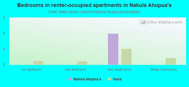 Bedrooms in renter-occupied apartments in Nakula Ahupua`a