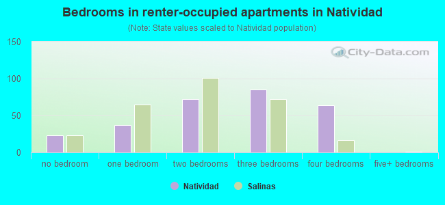 Bedrooms in renter-occupied apartments in Natividad