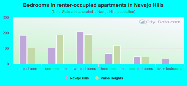 Bedrooms in renter-occupied apartments in Navajo Hills