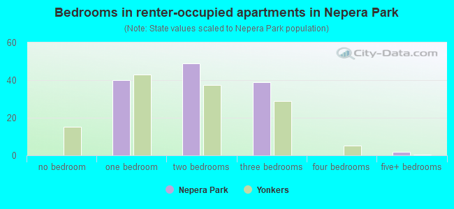Bedrooms in renter-occupied apartments in Nepera Park