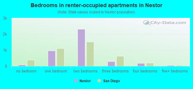 Bedrooms in renter-occupied apartments in Nestor