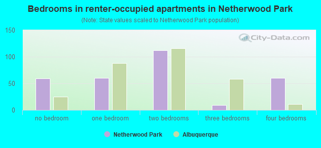 Bedrooms in renter-occupied apartments in Netherwood Park