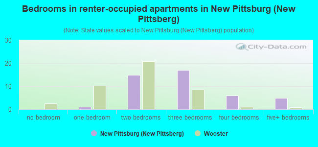 Bedrooms in renter-occupied apartments in New Pittsburg (New Pittsberg)
