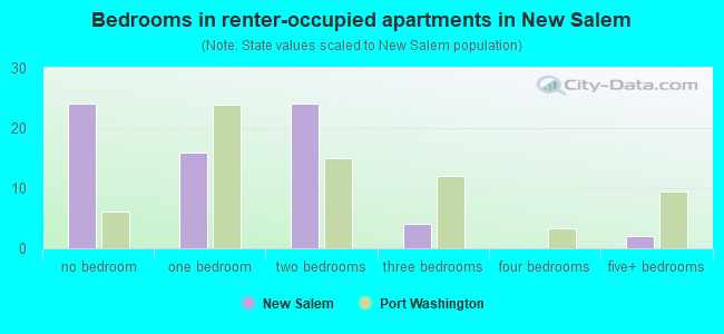 Bedrooms in renter-occupied apartments in New Salem