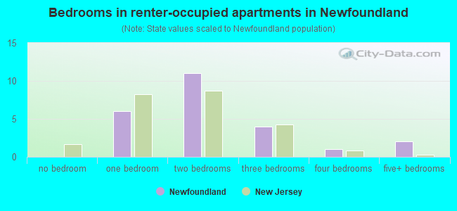 Bedrooms in renter-occupied apartments in Newfoundland