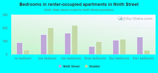 Bedrooms in renter-occupied apartments in Ninth Street