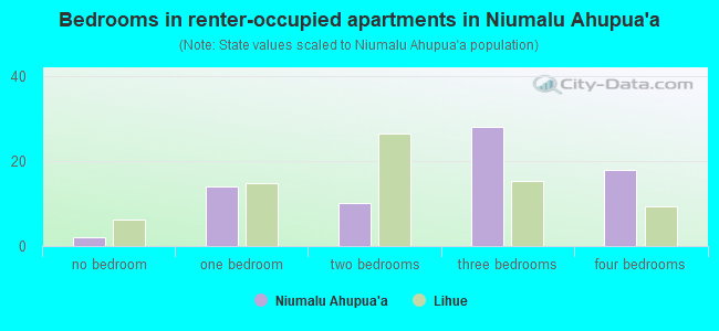 Bedrooms in renter-occupied apartments in Niumalu Ahupua`a