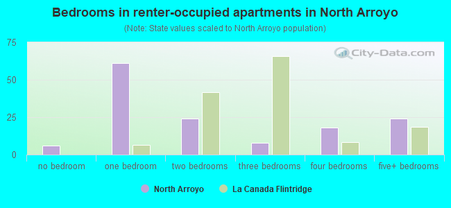 Bedrooms in renter-occupied apartments in North Arroyo